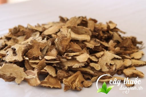 Bài thuốc từ bạch truật trị chứng ra mồ hôi